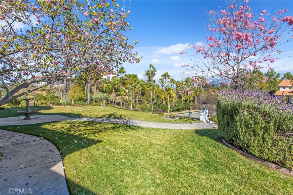 main property photo 54