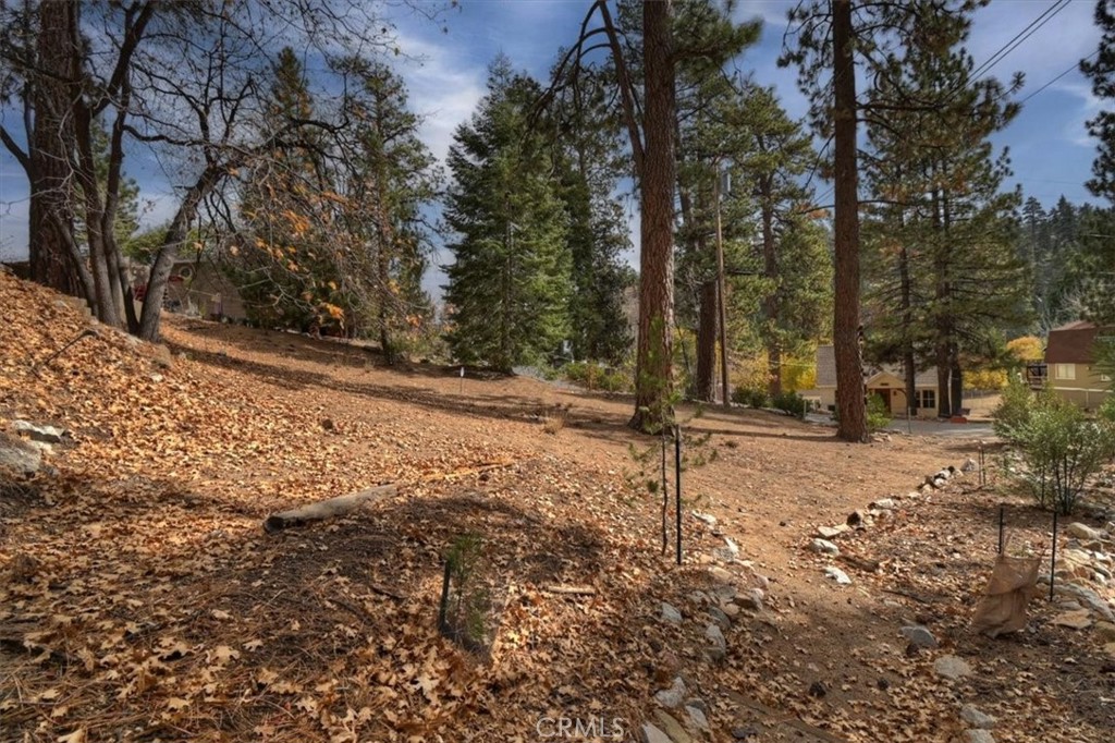 main property photo 38