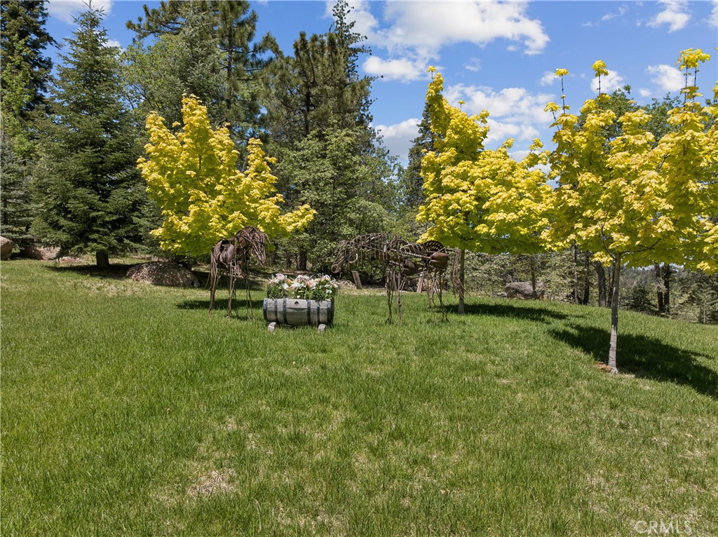 main property photo 56