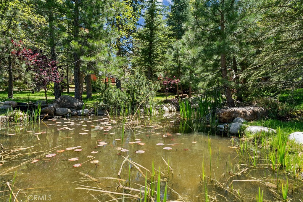 main property photo 57