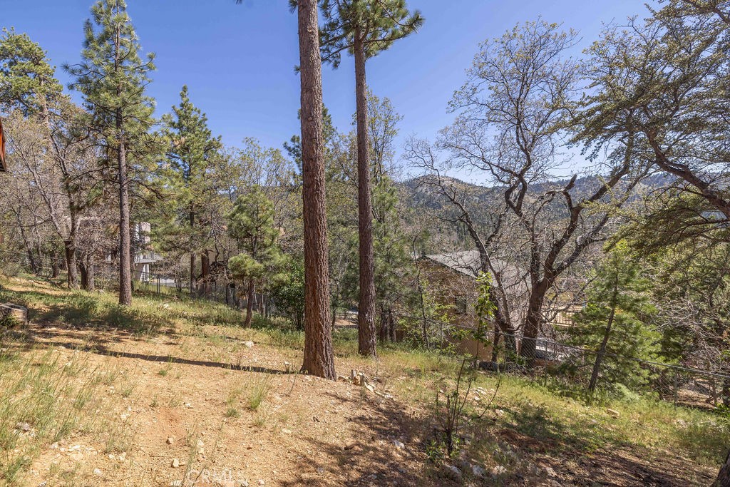 main property photo 56