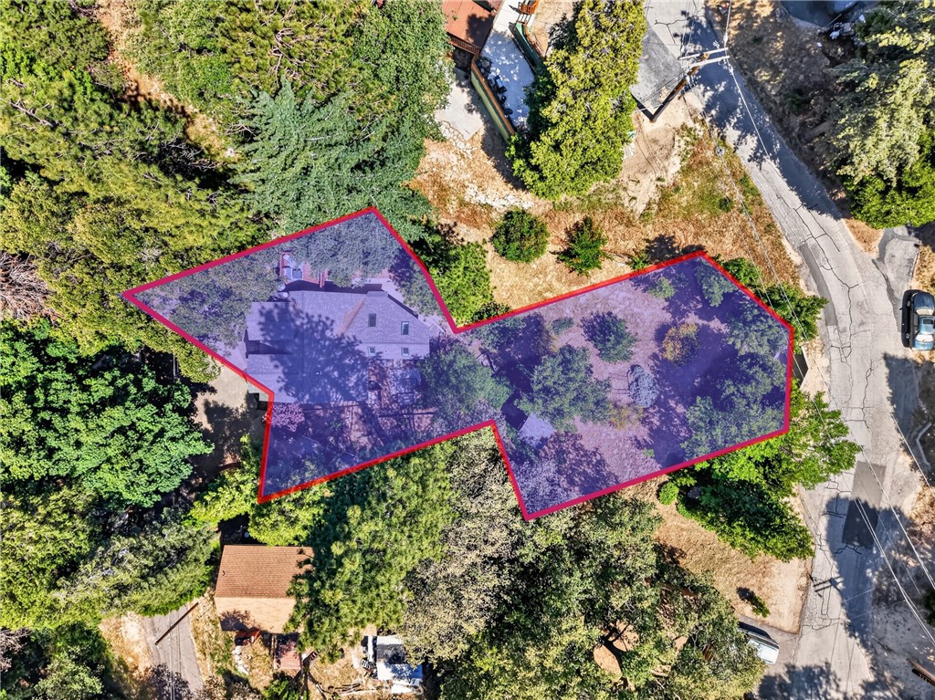 main property photo 54