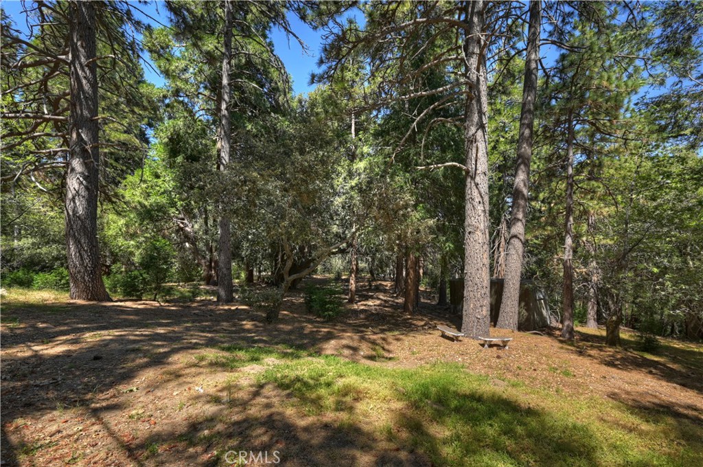 main property photo 62