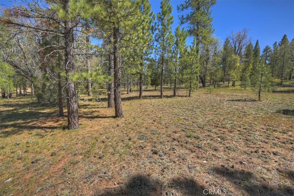 main property photo 56