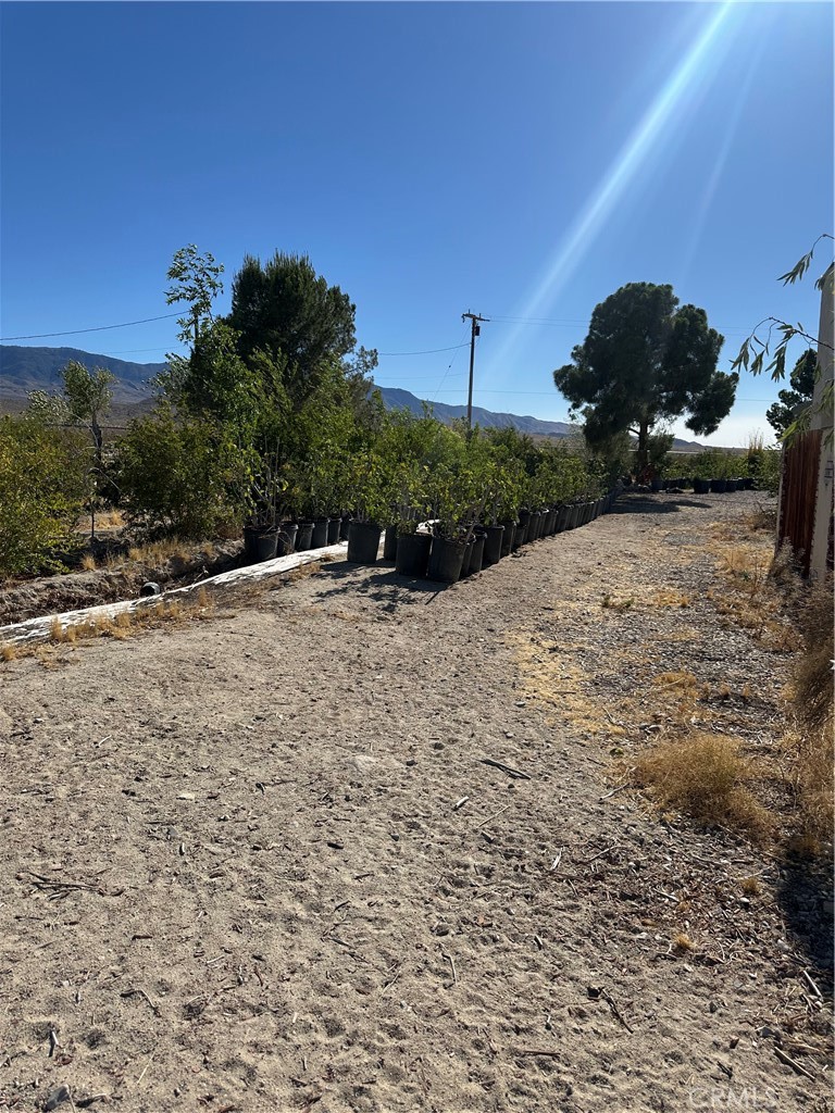main property photo 18
