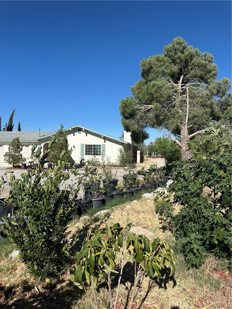 main property photo 7
