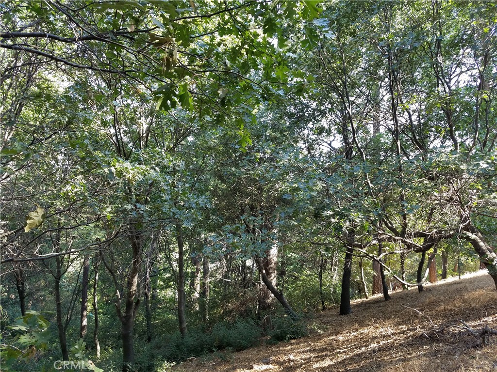 main property photo 16