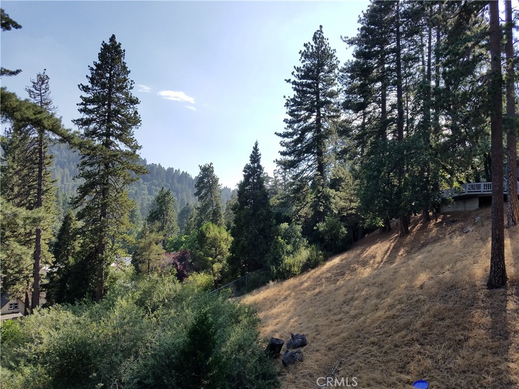 main property photo 18