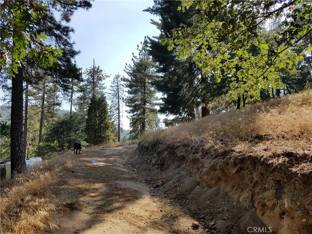 main property photo 22