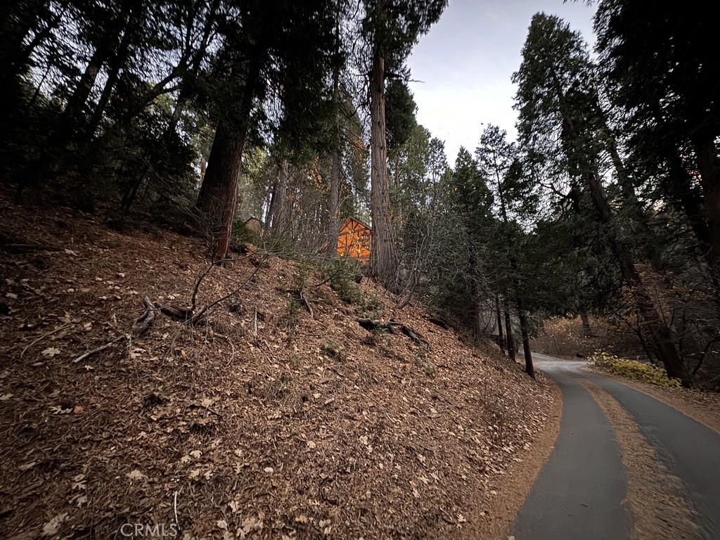 main property photo 46