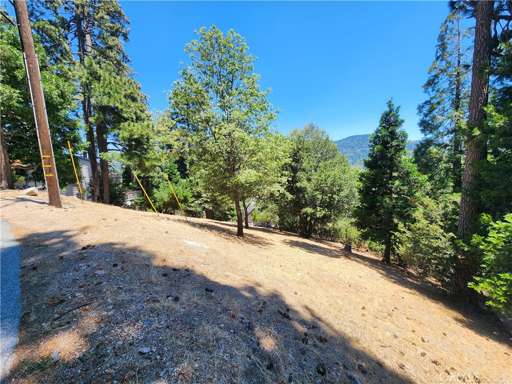 main property photo 13
