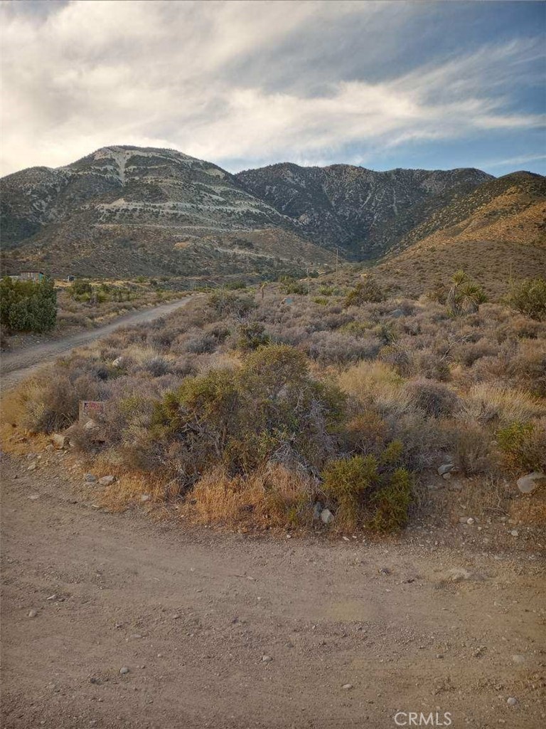 main property photo 5