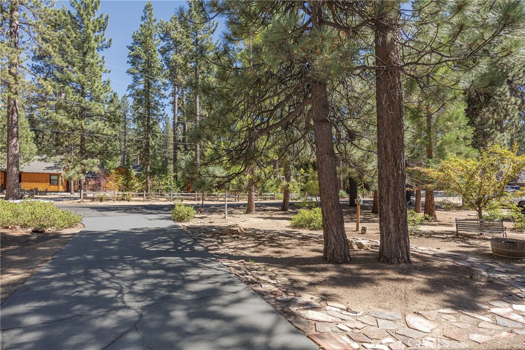 main property photo 47