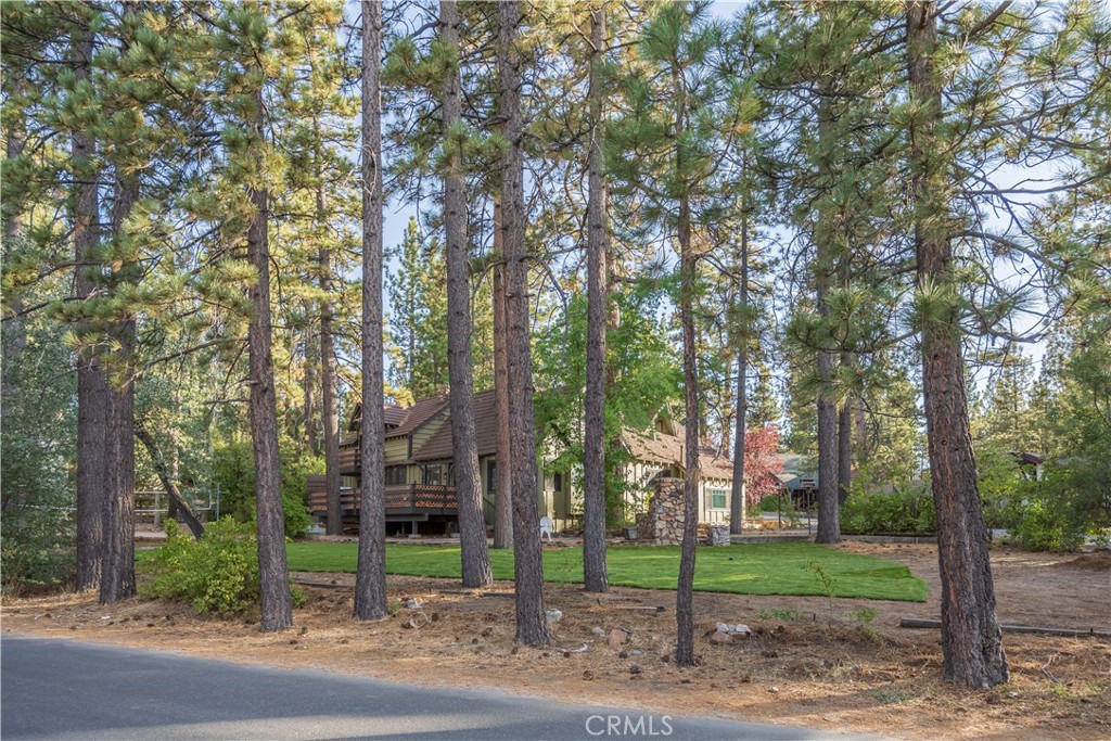main property photo 47