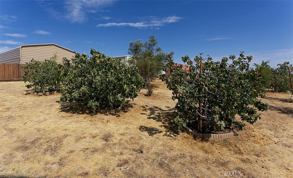 main property photo 45
