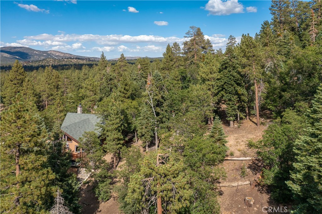 main property photo 58