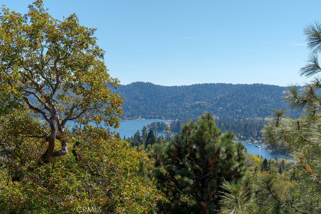 main property photo 61