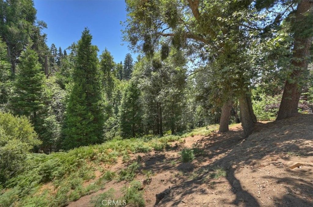 main property photo 49