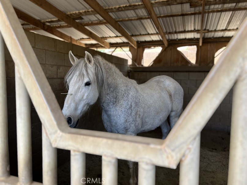 main property photo 69