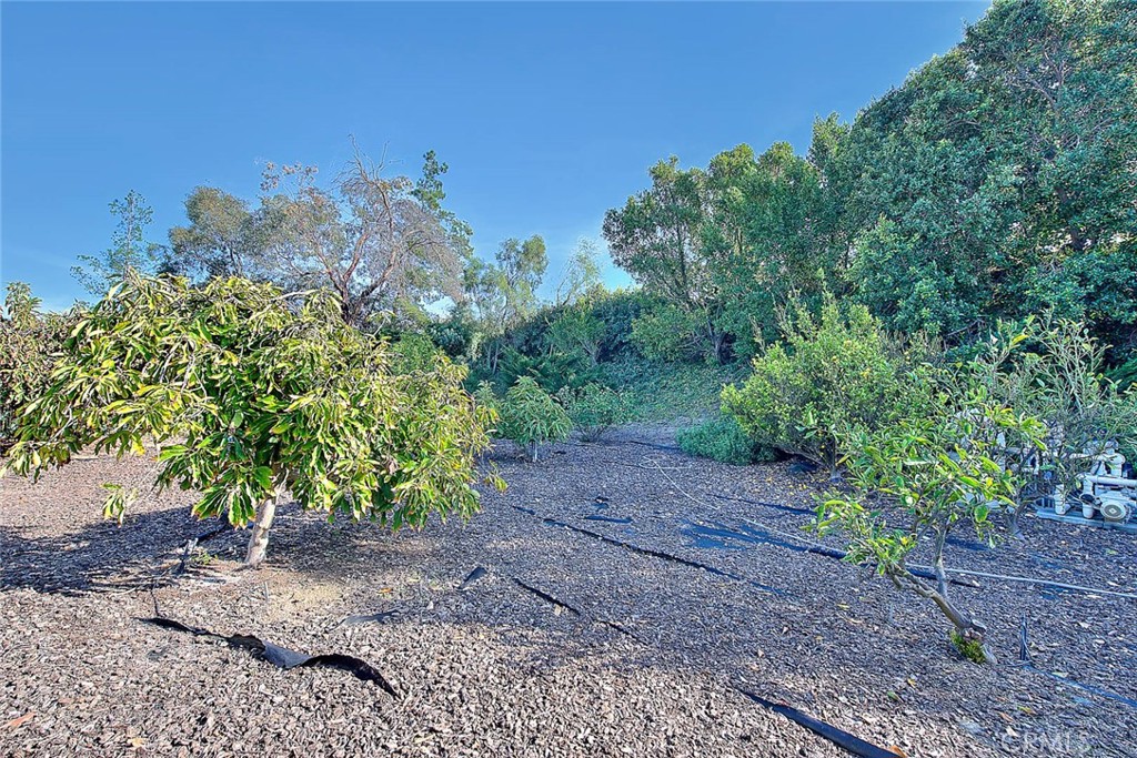 main property photo 60