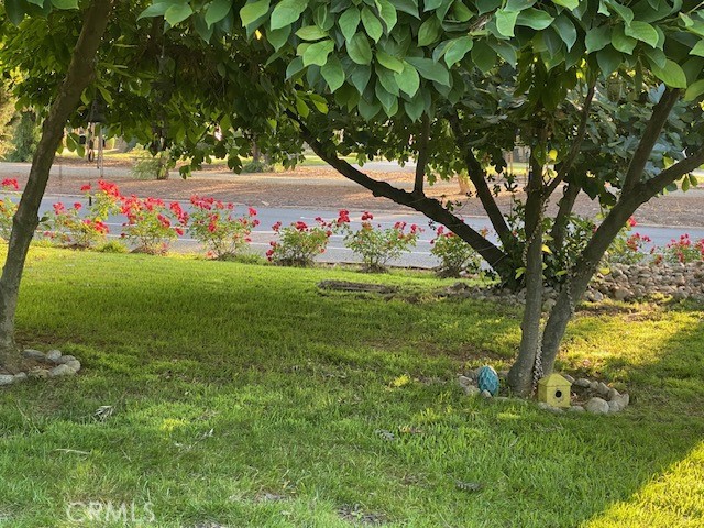 main property photo 57