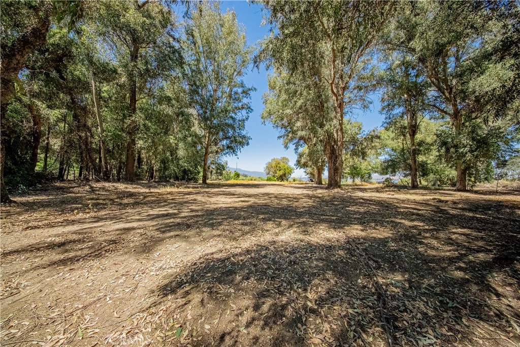 main property photo 11