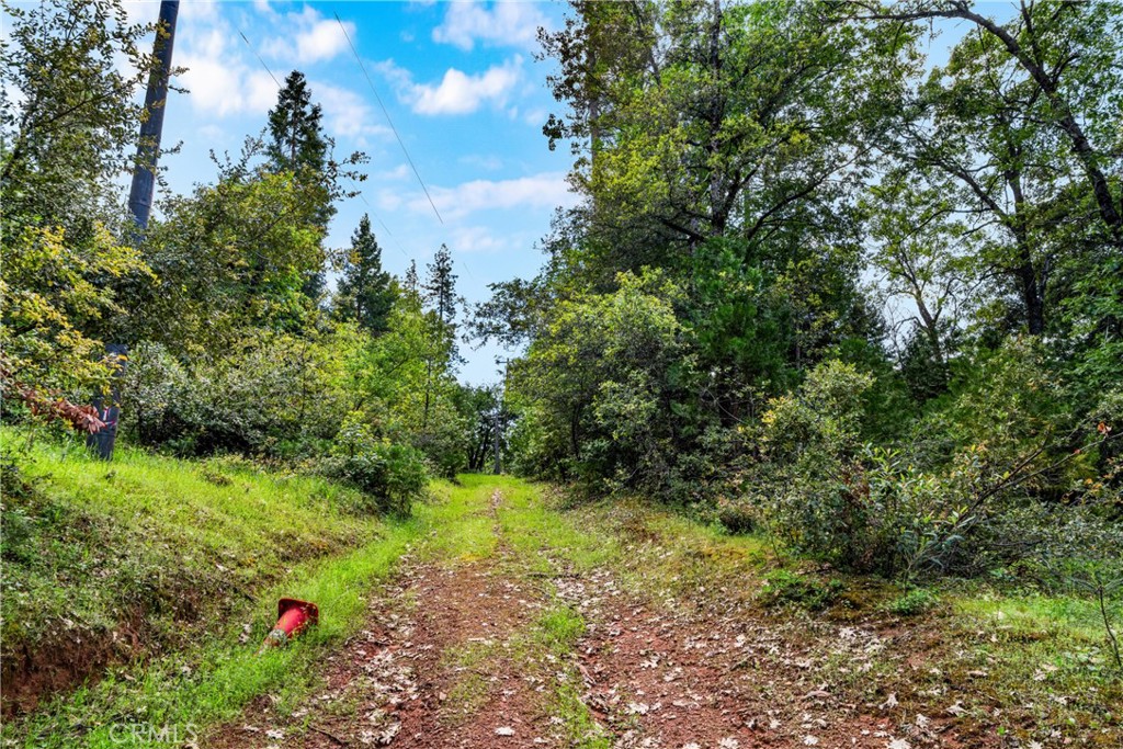 main property photo 14