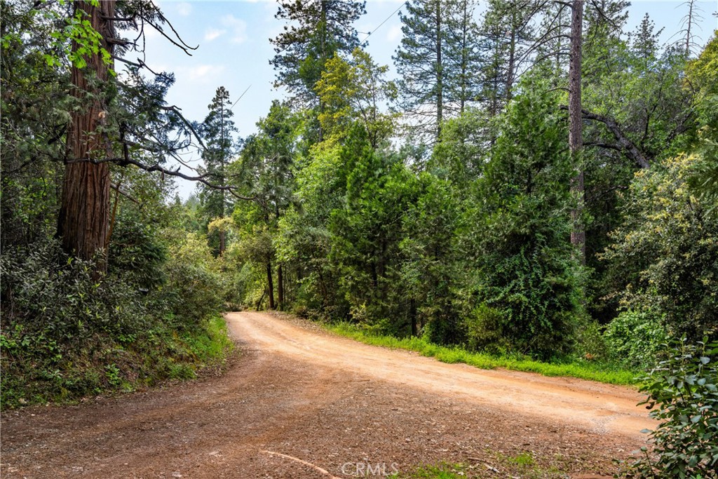 main property photo 19