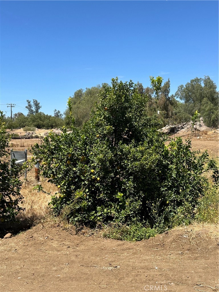 main property photo 16