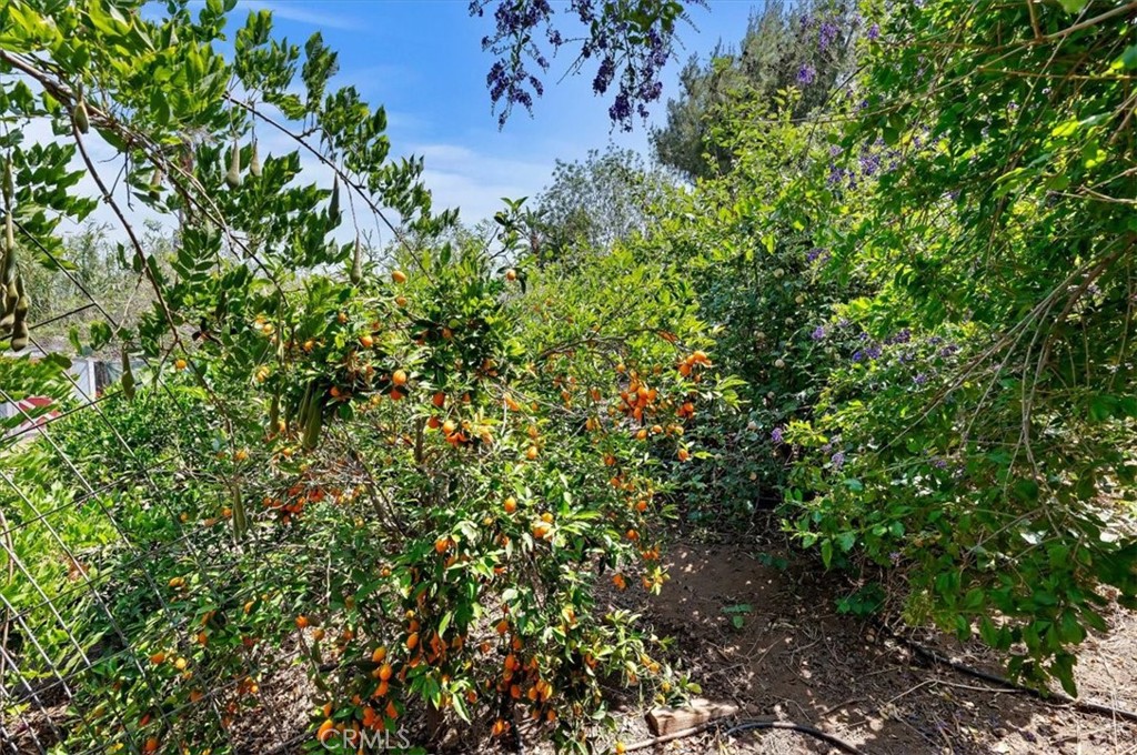 main property photo 54