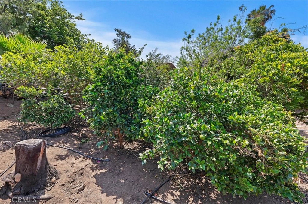 main property photo 55