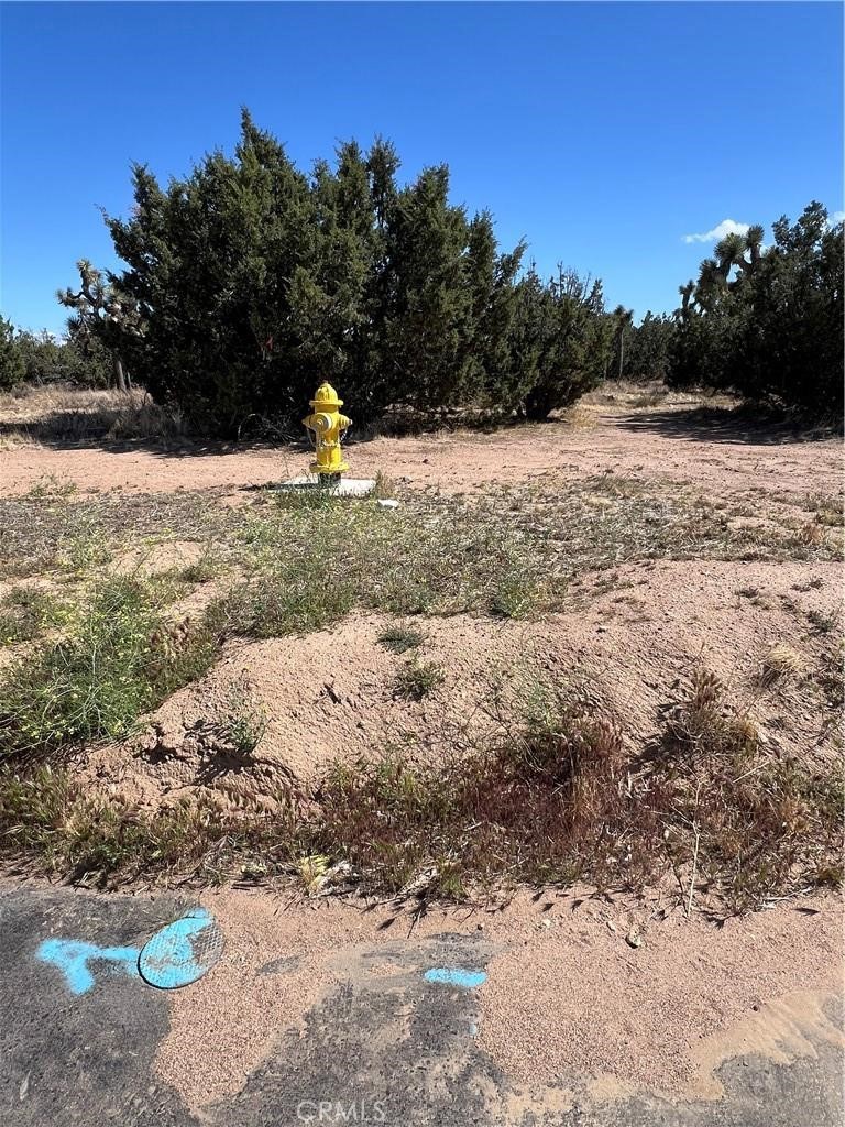 main property photo 6