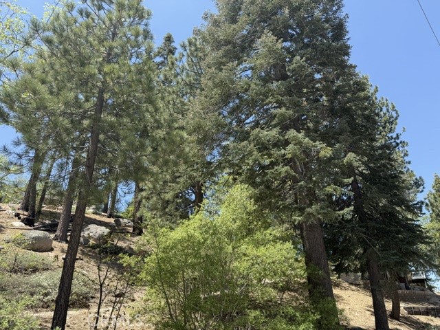 main property photo 28