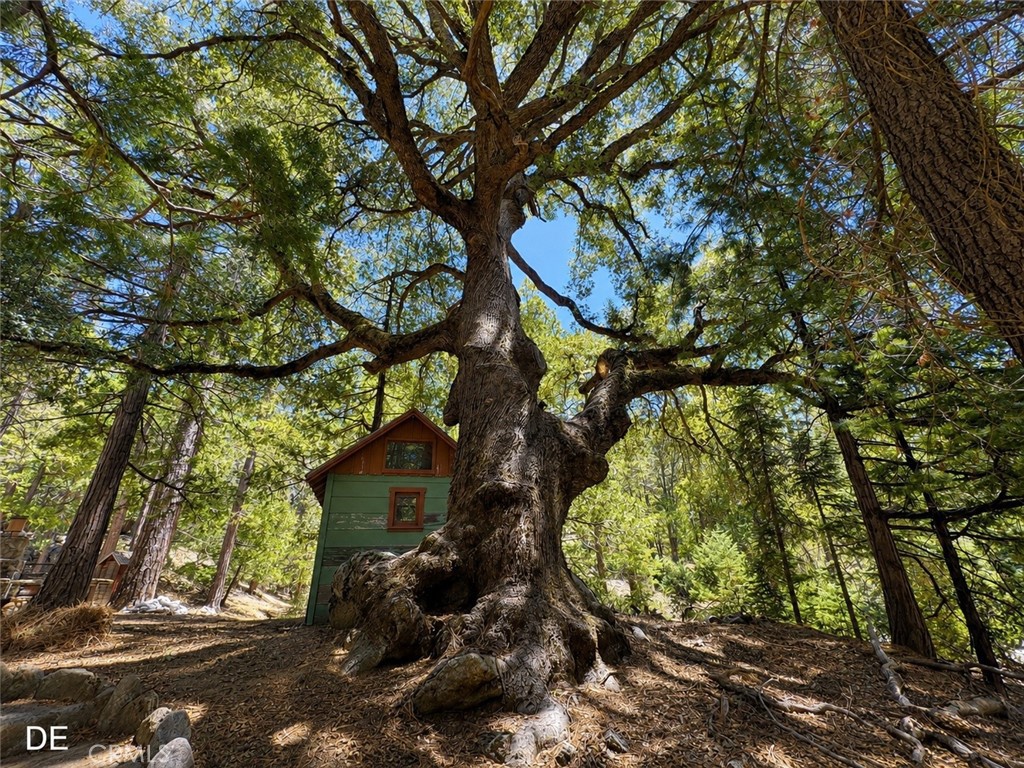 main property photo 22