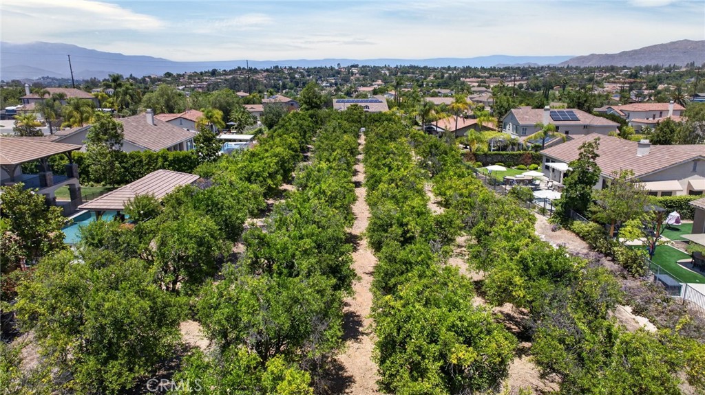 main property photo 58