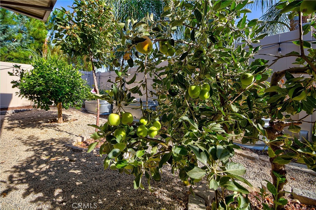 main property photo 55