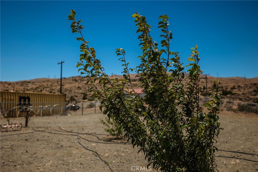 main property photo 37