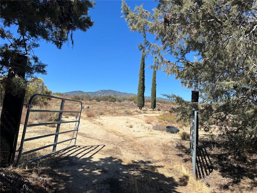 main property photo 33