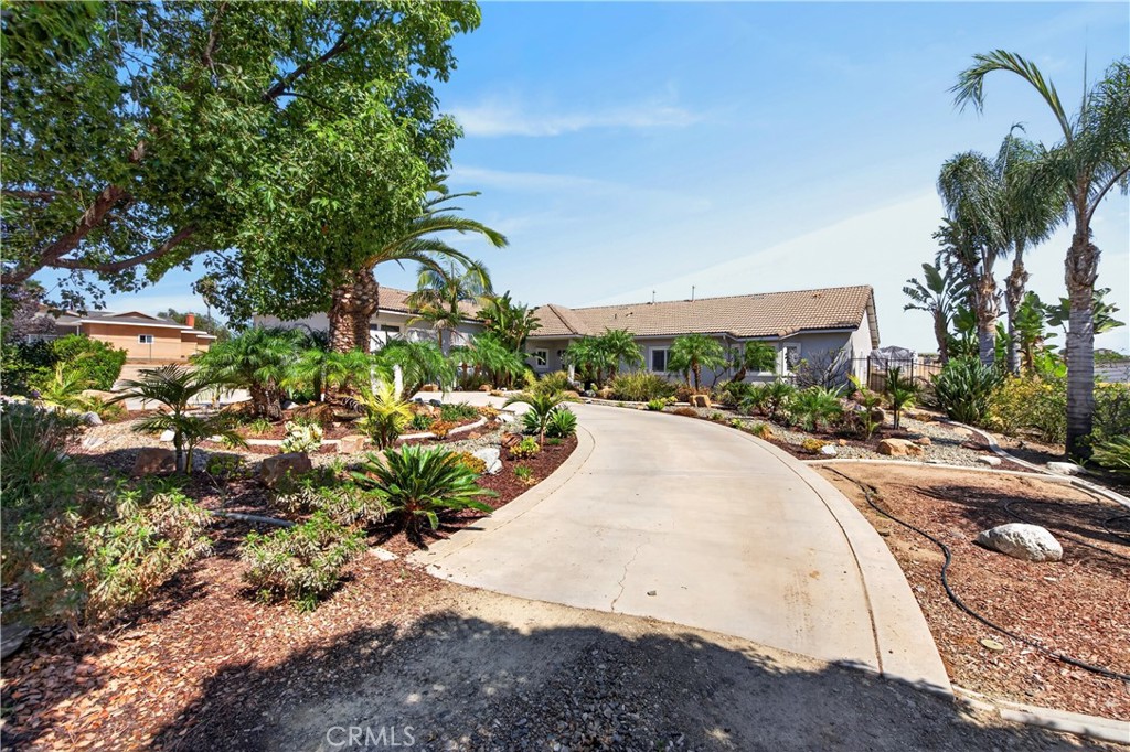 main property photo 55