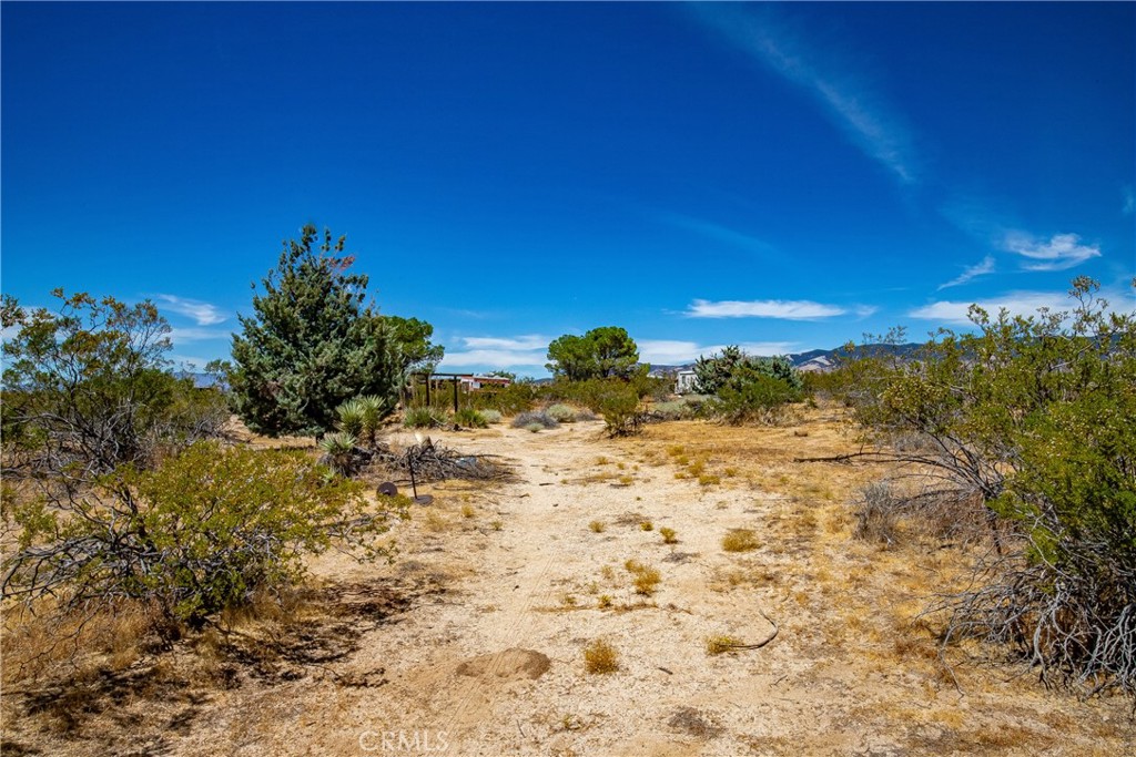 main property photo 35