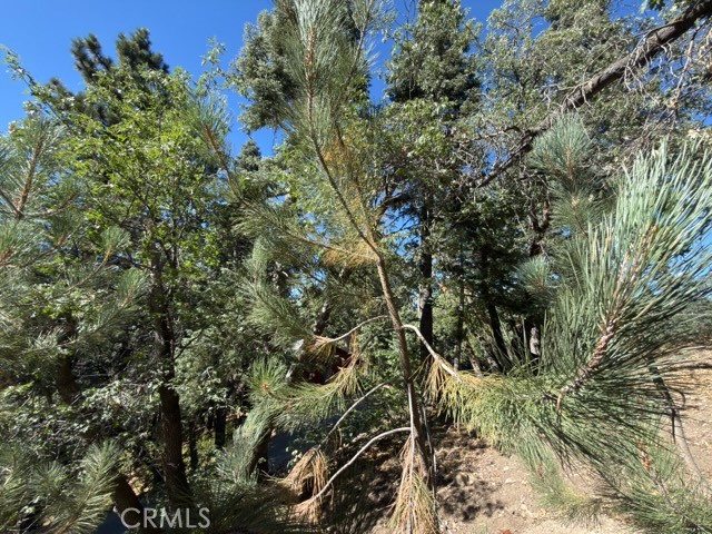main property photo 30