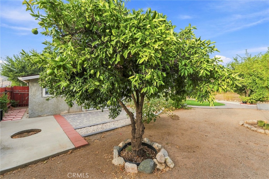 main property photo 37