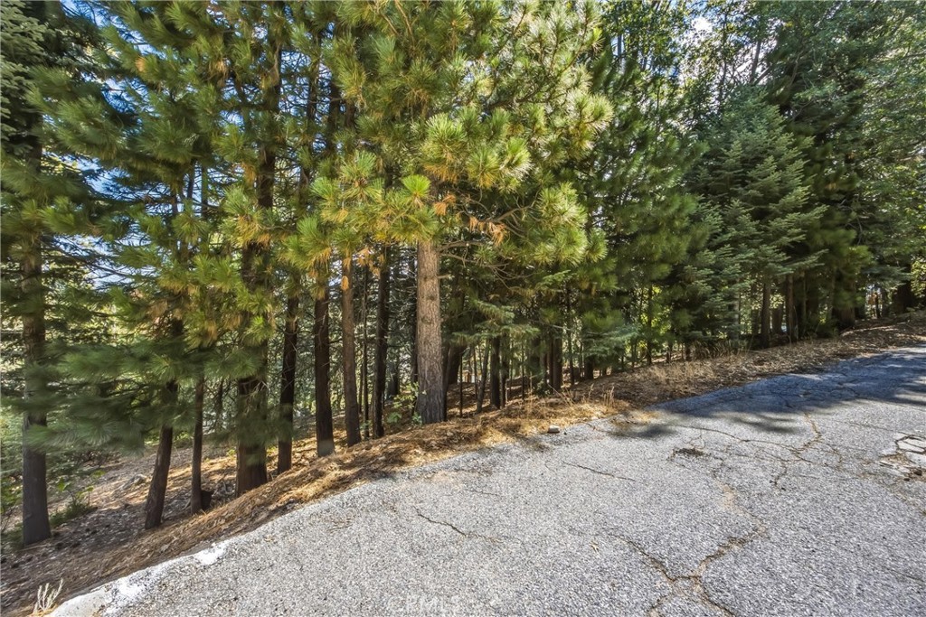 main property photo 57