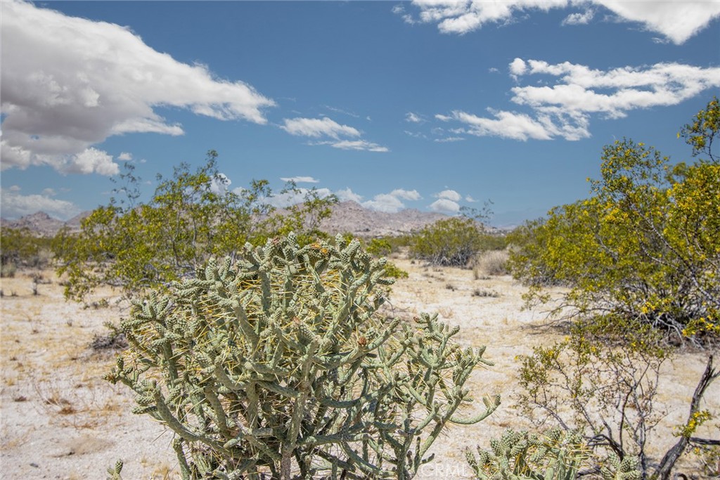 main property photo 17