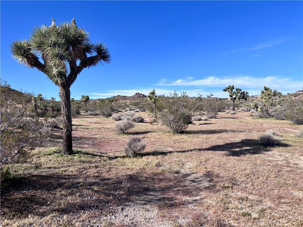 main property photo 37
