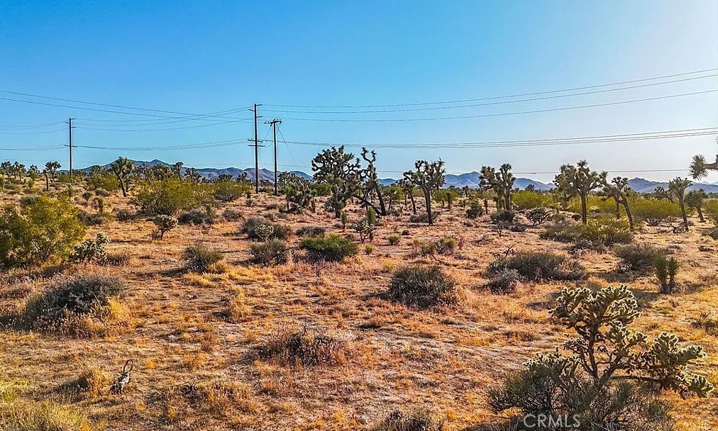 main property photo 10