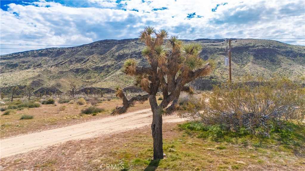 main property photo 27