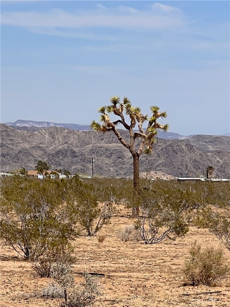 main property photo 36