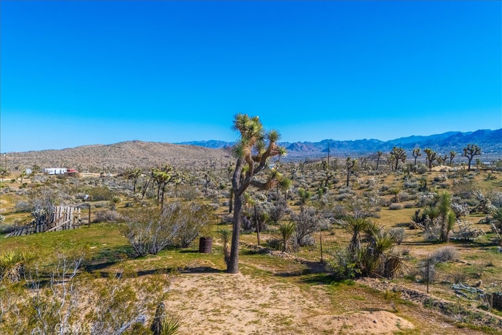 main property photo 36