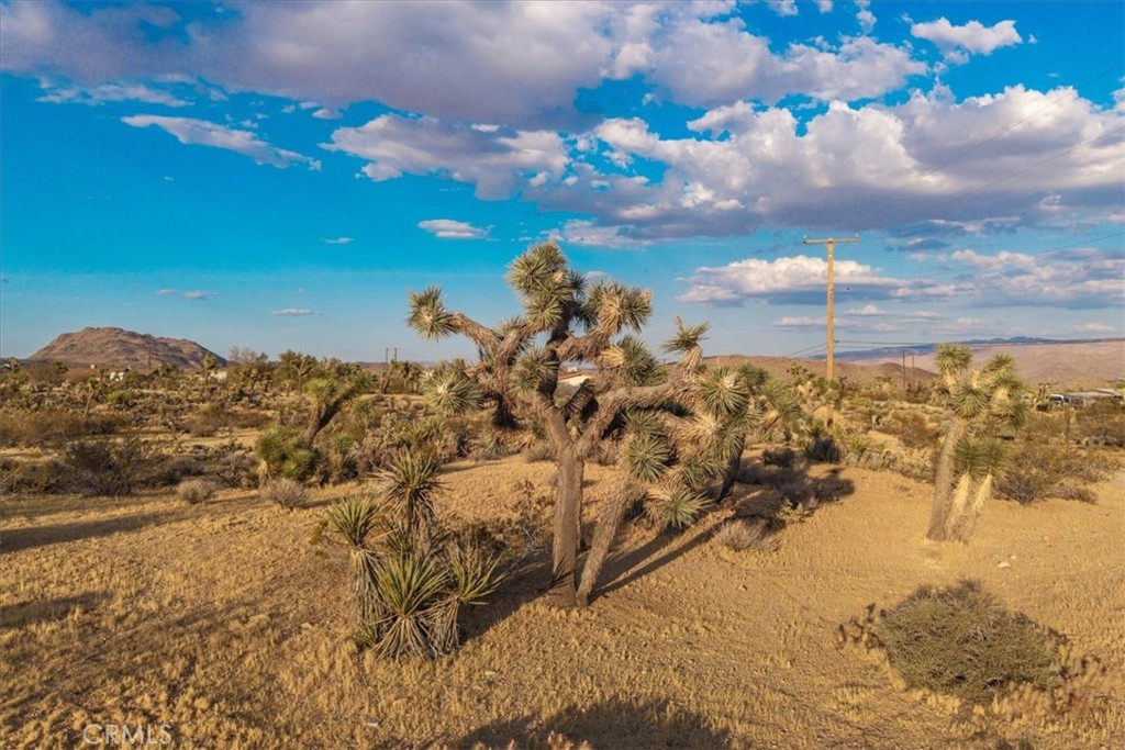 main property photo 46
